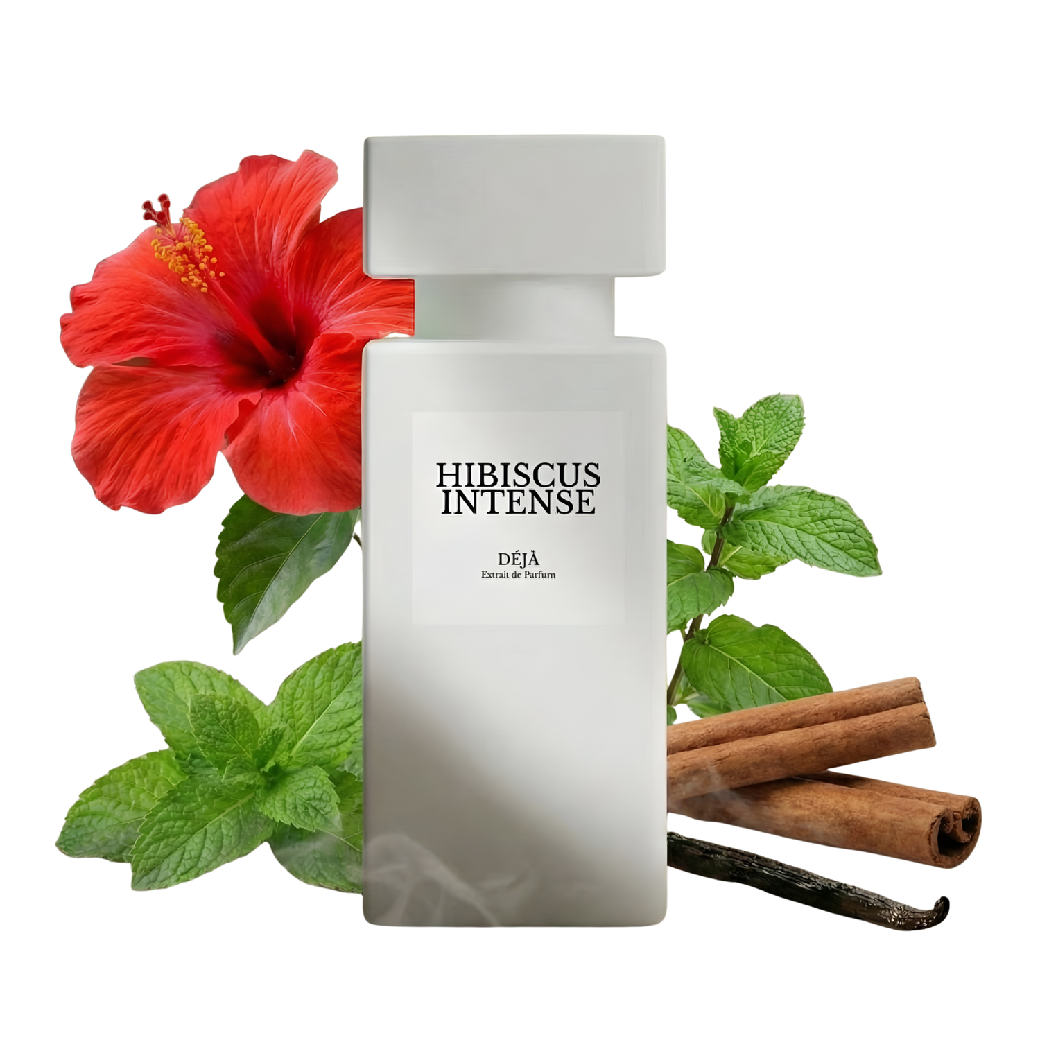 Hibiscus Intense